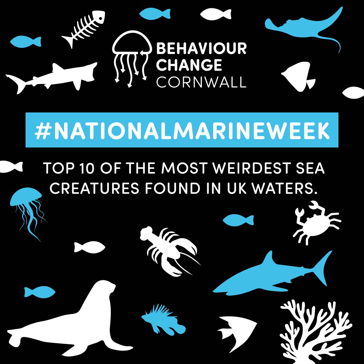 It's #NationalMarineWeek and we are celebrating the rich diversity of #marinespecies in our waters, highlighting the weirdest and most wonderful inhabitants of our coasts so we can more deeply appreciate our marine ecosystem.

Read the full article here: behaviourchangecornwall.co.uk/national-marin…