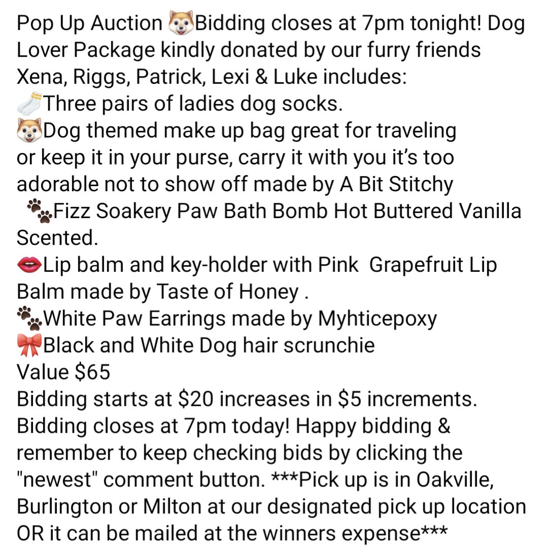 🐾Pop up Auction🐾 Click the pic for more details. #Fundraiser #fundraising #dogs #RESCUEISMYFAVORITEBREED #RescueDogs #auction Click here to place your bid: m.facebook.com/story.php?stor…