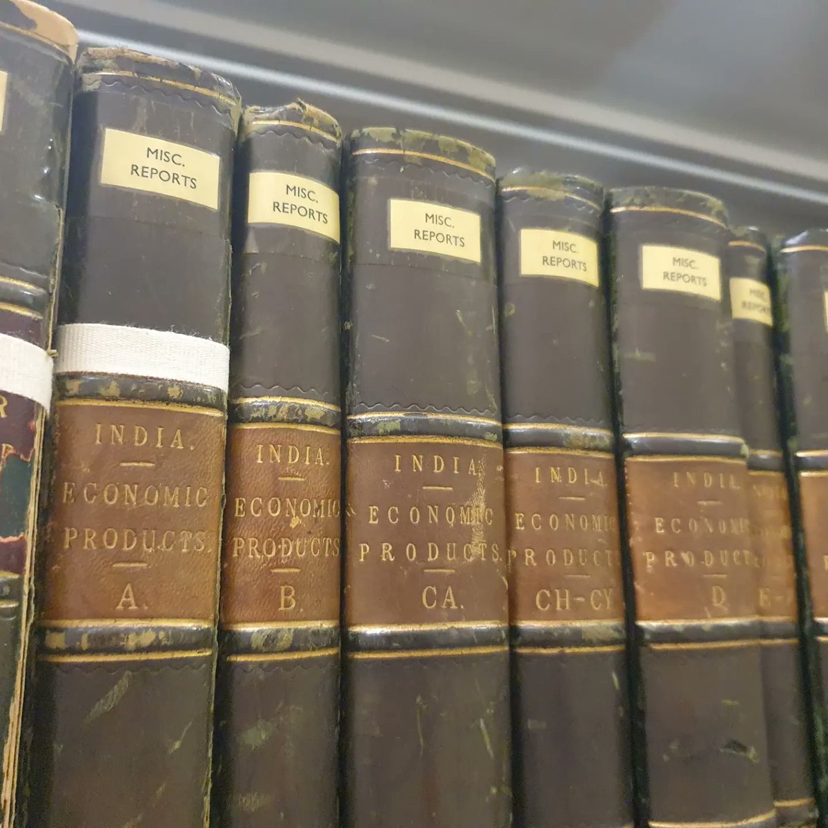 Christina Harrison (Hourigan) (@keweditor) on Twitter photo A chance to look at some fascinating and beautiful illustrations and archive materials at @Kew_LAA today with <a href="/HR_Craddock/">Heather Craddock</a> as we begin to prepare for a new exhibition in the Library Reading Room. Watch this space! #trees #deforestation #reforestation #kewscience #planthumanities A chance to look at some fascinating and beautiful illustrations and archive materials at @Kew_LAA today with <a href="/HR_Craddock/">Heather Craddock</a> as we begin to prepare for a new exhibition in the Library Reading Room. Watch this space! #trees #deforestation #reforestation #kewscience #planthumanities