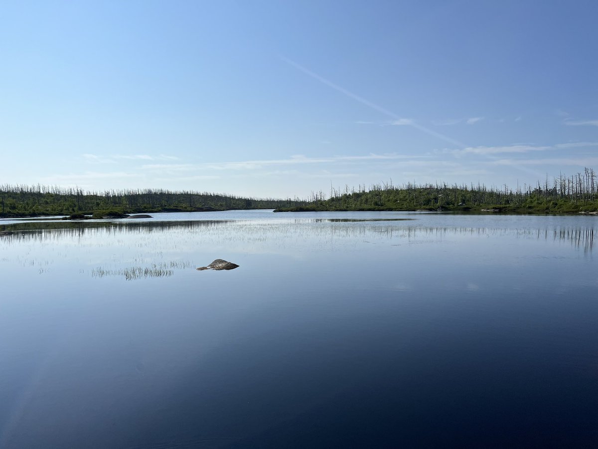 Andrew Petrosoniak tweet media