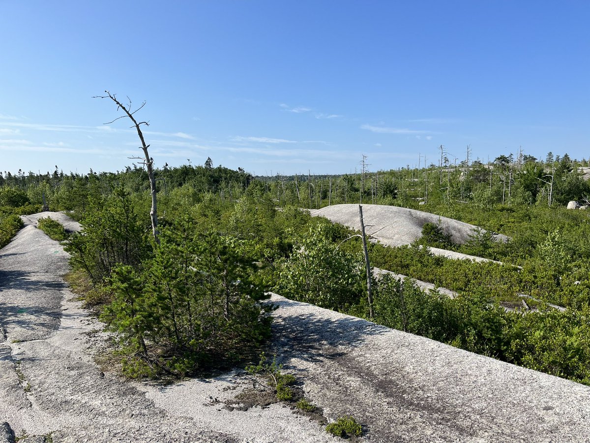 Andrew Petrosoniak tweet media