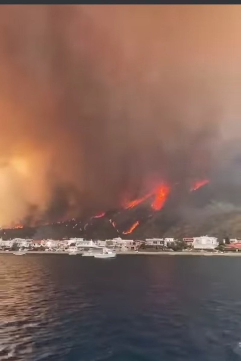 fekors's tweet photo. Messina e provincia avvolte dalle fiamme. Del ponte ce ne frega una beata minchia, Salvini.
Dichiarate allerta, BUFFONI
#SICILIA #INCENDI https://t.co/3LRNamhhKe
