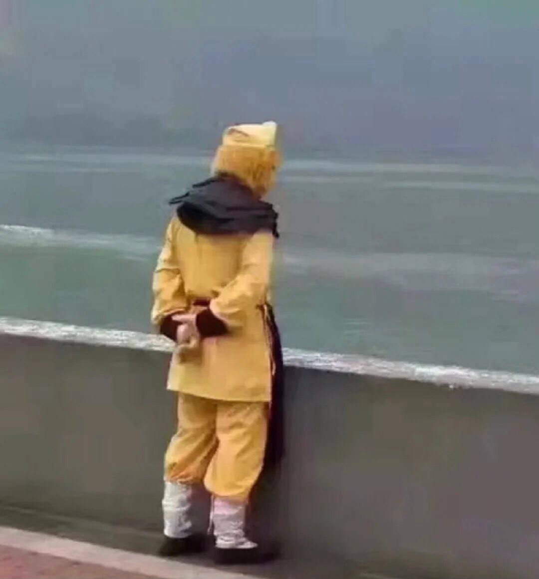 gc1314gc's tweet photo. Maybe the Monkey King has troubles too? https://t.co/NJcAqNwItf