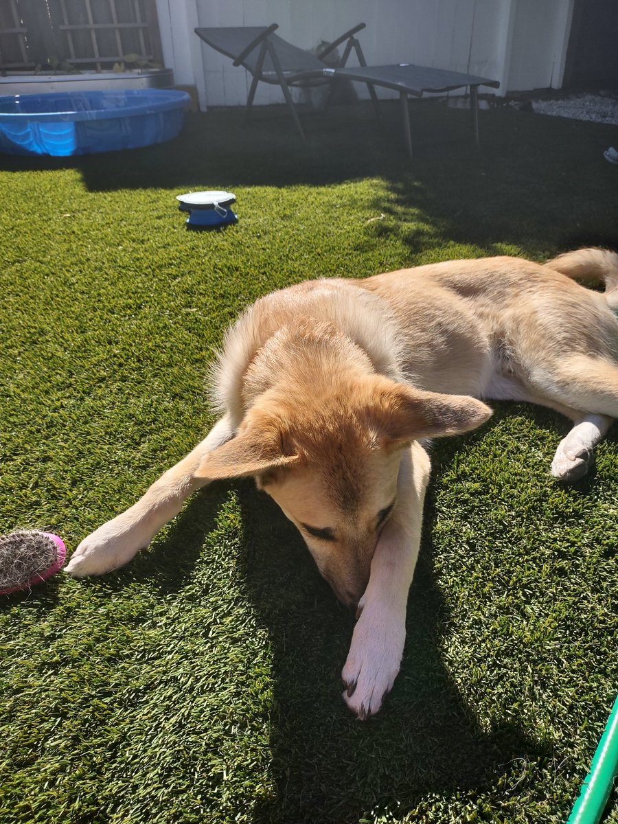 Dr. Penny Wieser tweet media