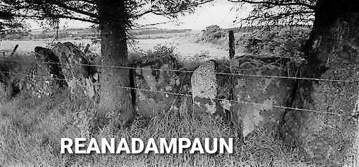 chrissyknightoc's tweet image. #Waterford #Placenames 
Have you seen the Petrified Standing Stones of Reanadampaun or the Tampauns?

According to legend the stones are 3 princes their mother &amp;amp; wolfhounds turned to stone by outraged Druid Cian of the golden Diadems
(Now a field boundary few miles from Ballymac)
