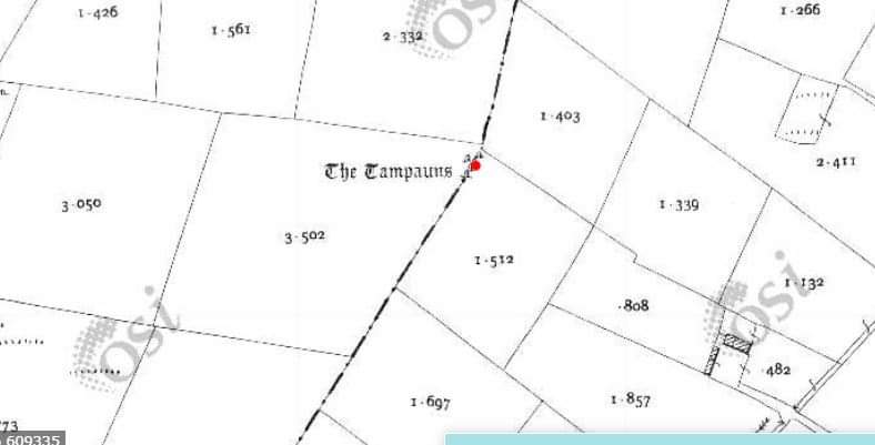 chrissyknightoc's tweet image. #Waterford #Placenames 
Have you seen the Petrified Standing Stones of Reanadampaun or the Tampauns?

According to legend the stones are 3 princes their mother &amp;amp; wolfhounds turned to stone by outraged Druid Cian of the golden Diadems
(Now a field boundary few miles from Ballymac)