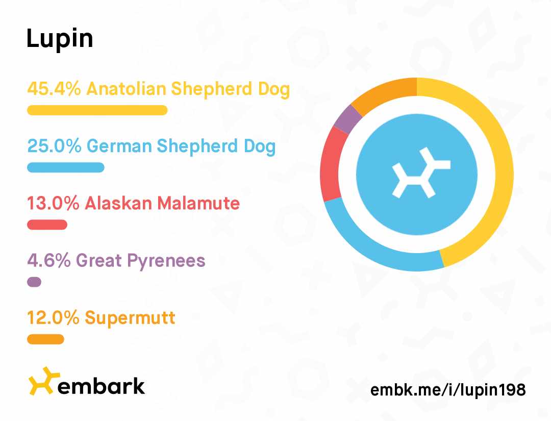 Dr. Penny Wieser tweet media