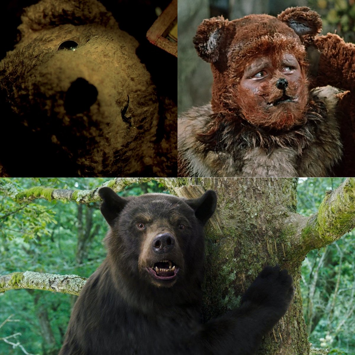 Studying on-screen bears for an upcoming project! Which are your favourite bear cameos?

Moodboard images from:
Little Red Riding Hood (1962)
The City of Lost Children (1995)
Cocaine Bear (2023)

#FilmTwitter #indiefilm #filmmakers #production #storytelling #movies #Director