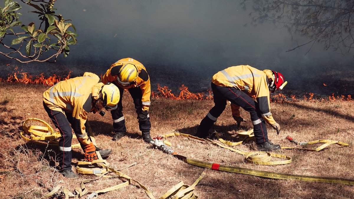 sdis_06's tweet photo. #RetourSurInter

👉Plus de 100  sapeurs #pompiers ont été  mobilisés sur un incendie d'espace naturel qui s'est déclaré vers 15h30 dans une zone urbaine à proximité de la route et de la voie ferrée située au Moulins du Lou à #CagnessurMer. 

#NousSommesPompiers06 https://t.co/mXYT3ugvzA