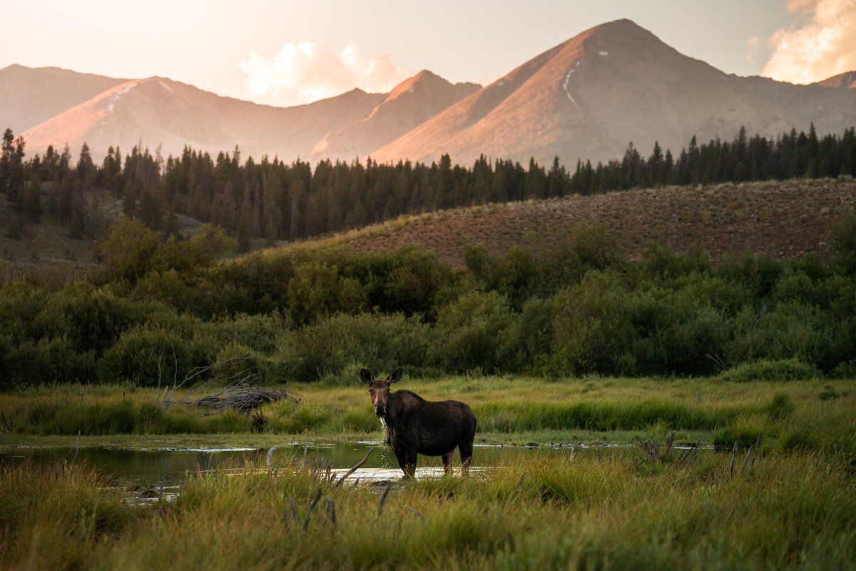 Hunter Welsh tweet media