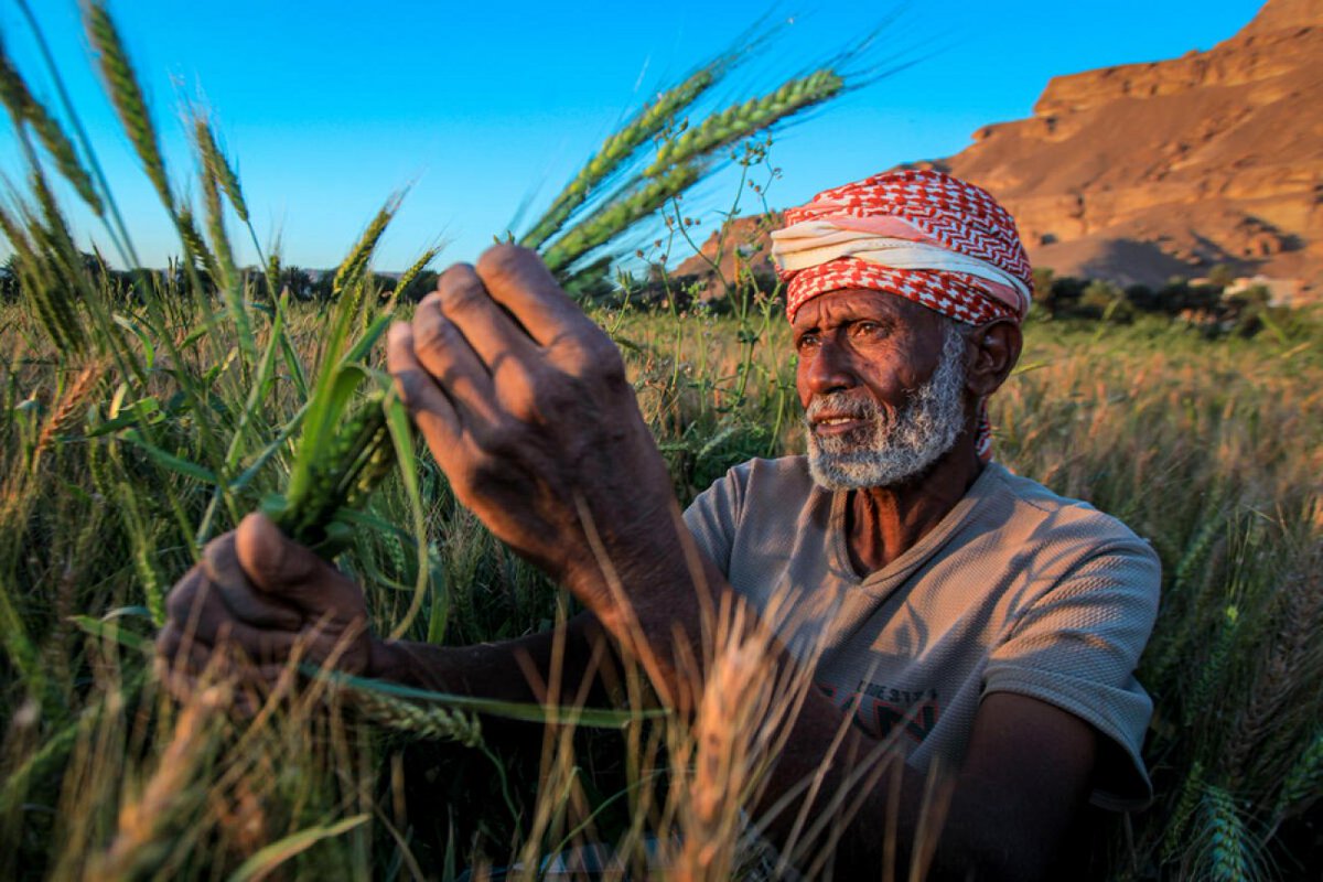 UN Sustainable Development Group 🇺🇳 tweet media