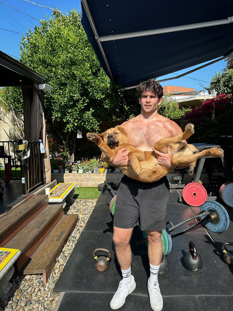 hasanthehun's tweet photo. spent my first morning being 32 by working out w kaya and then getting a checkup i’m basically david goggins. https://t.co/KYC1yTQk1V