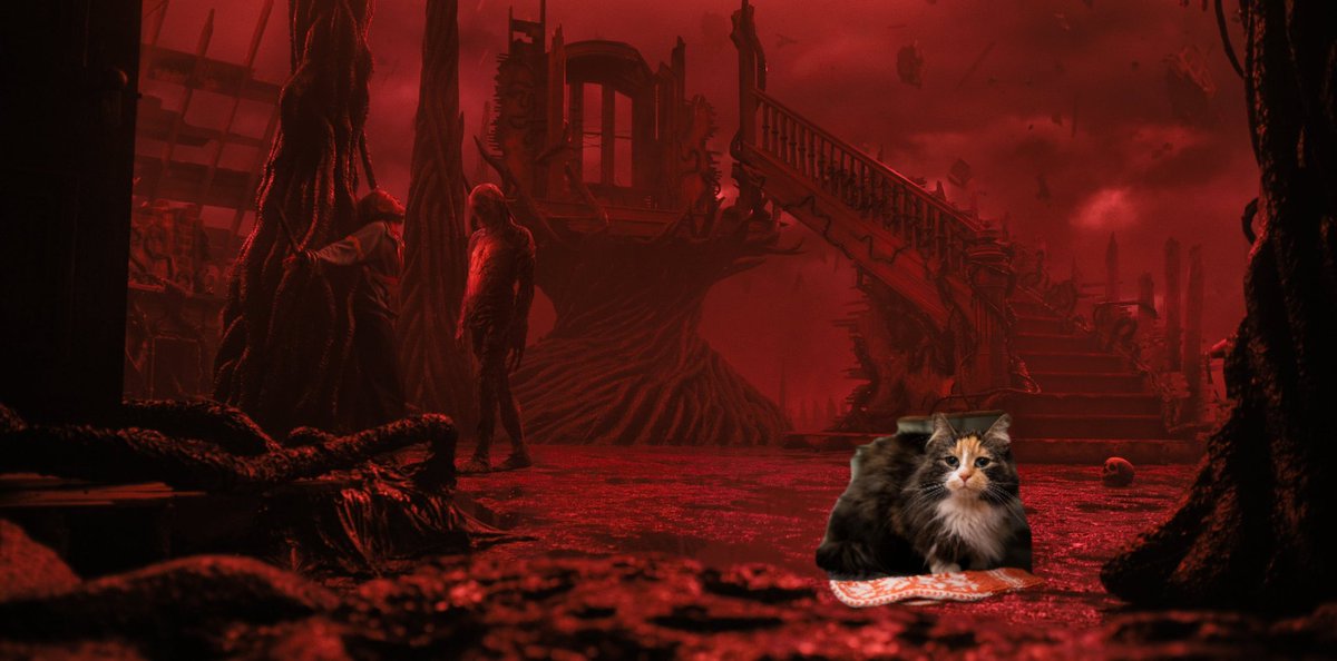 Torbjørn k tweet media