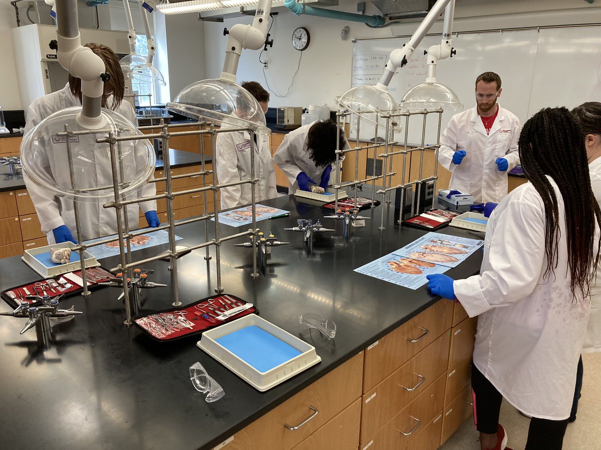 rhoste76's tweet image. Learning about the parts and function of the heart with Mr. Blass at Albright’s TExpL summer camp. Talk about connecting hearts and minds! 😁 @stoudt_stacey @ChrisTrickett24 #wilsonsd #TExpL