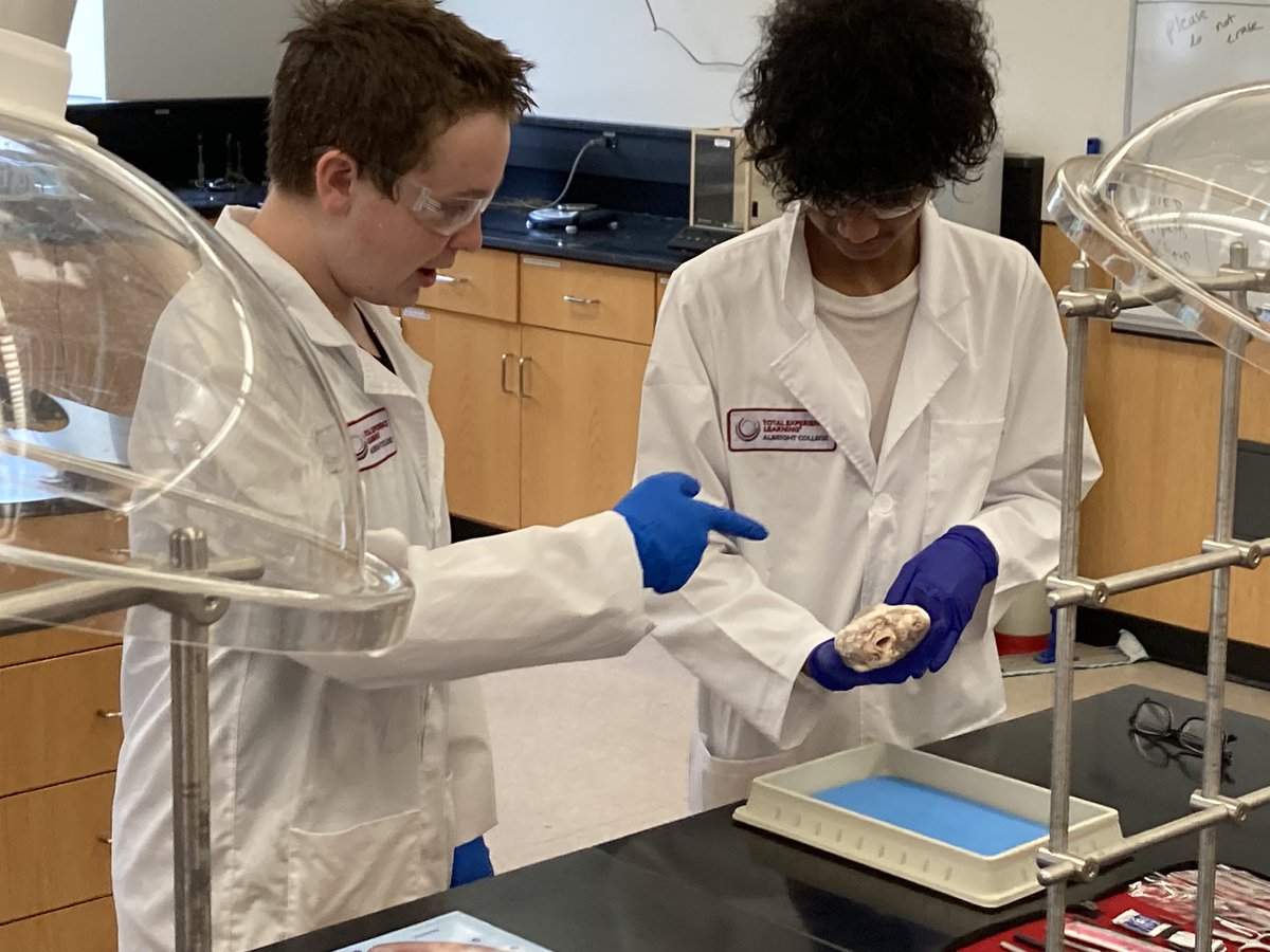 rhoste76's tweet image. Learning about the parts and function of the heart with Mr. Blass at Albright’s TExpL summer camp. Talk about connecting hearts and minds! 😁 @stoudt_stacey @ChrisTrickett24 #wilsonsd #TExpL