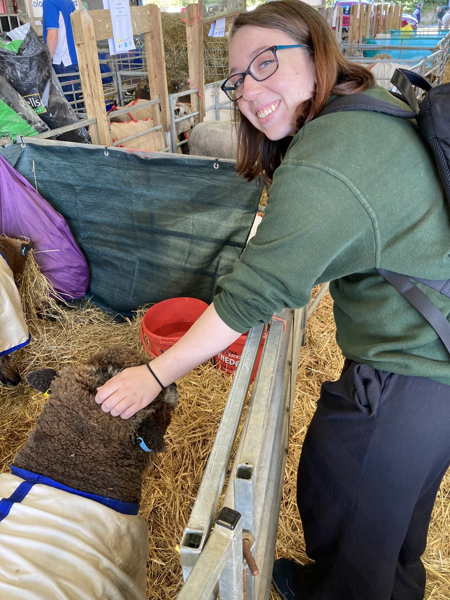 KatieRuthx's tweet photo. Got to touch sheep today. 5/5 would recommend @royalwelshshow https://t.co/lhjHPQLGPW