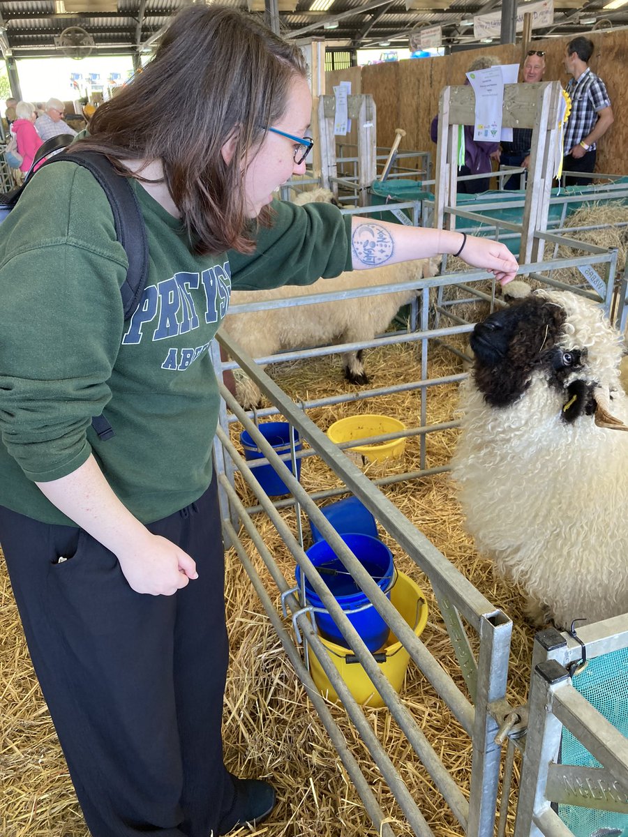KatieRuthx's tweet photo. Got to touch sheep today. 5/5 would recommend @royalwelshshow https://t.co/lhjHPQLGPW