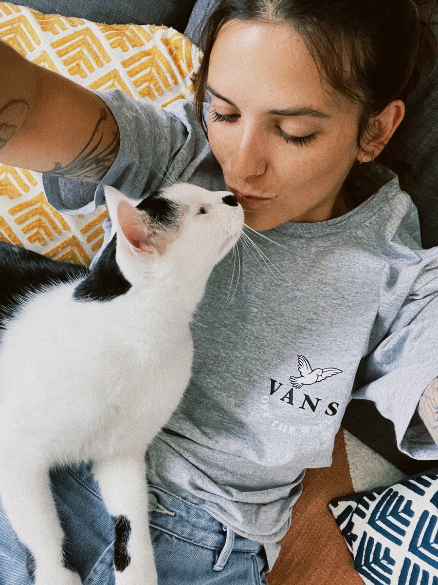 Laura 🏳️🌈 tweet media