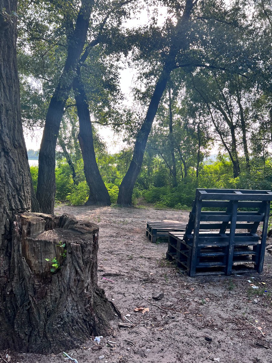 Yaroslava tweet media