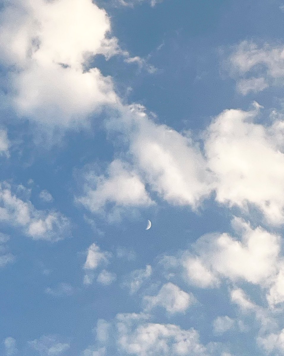 greengirrl's tweet photo. اَبر و ماه:)
یکی از قشنگ ترین عکسایی که گرفتم.. https://t.co/tyKuon5NqH