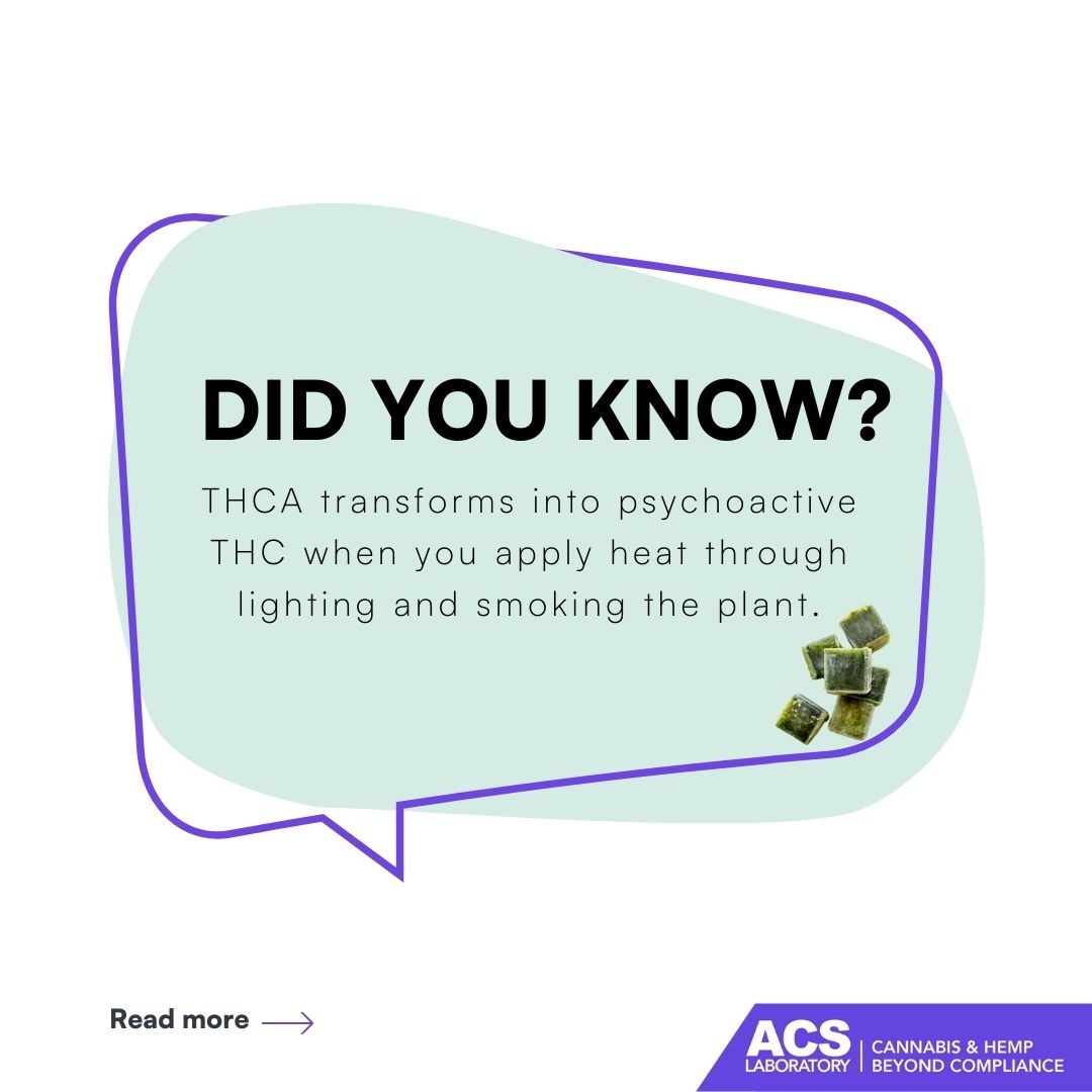 Discover THCA - the most prominent cannabinoid in hemp and cannabis AND the only reason THC exists. ⁠
⁠
Read more l8r.it/jIsO
⁠
Start Testing l8r.it/ow9T⁠
⁠
#THCA #THC #hempderived #hemptesting #thirdpartylab #ACS #ACSLaboratory