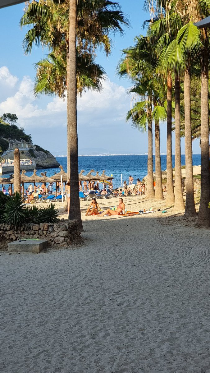 mypreciousgolum's tweet photo. View from beach bar #calavinas #mallorca https://t.co/8i1p99KUHS