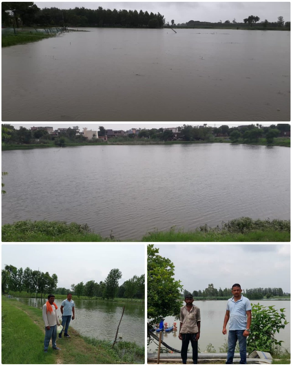 HardwarAdf's tweet photo. आज दिनांक 25 जुलाई 2023 को जनपद हरिद्वार के ब्लॉक नारसन में नगला ऐमाद, थीथकी क्वाडपुर तथा शेरपुर खलमऊ समिति के ग्राम समाज के तालाबों का निरीक्षण ब्लॉक प्रभारी श्री अमित कुमार पैनुली जी द्वारा किया गया। https://t.co/TYVSiF5a6x