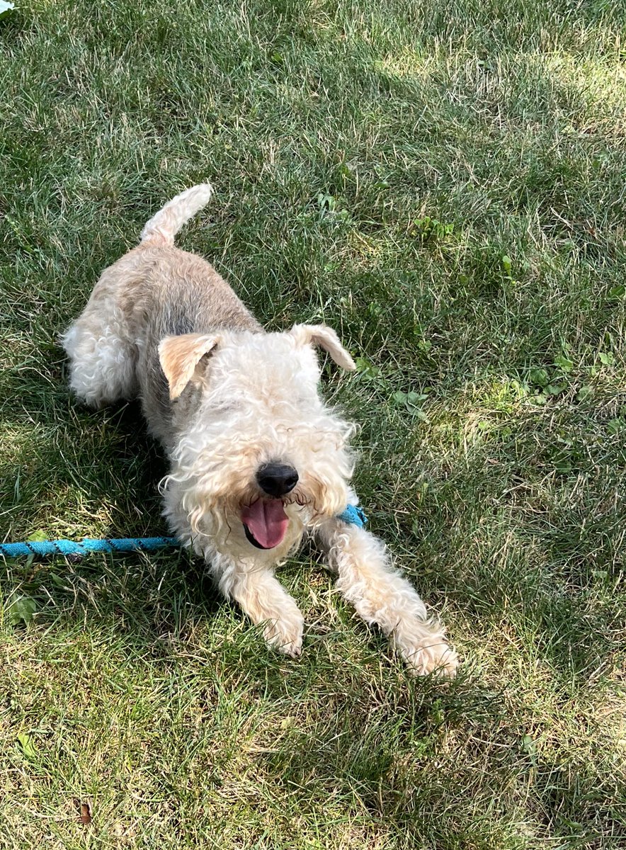 BramleyLakeland 🍎 IG: @bramleylakeland tweet media