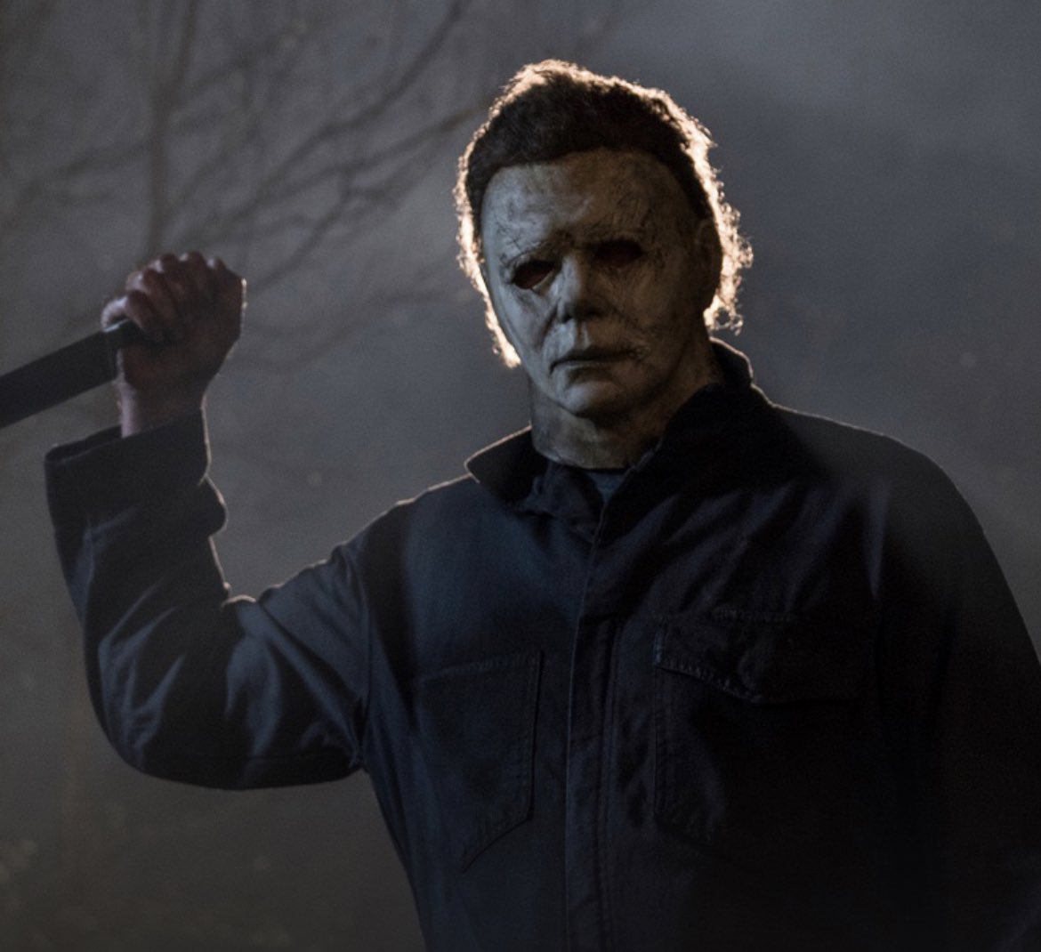 RT @SourceHalloween: What would you like to see next from the Halloween franchise? https://t.co/p50fioKooT