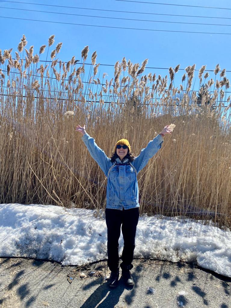 Natasha Neves (@natashaaneves) on Twitter photo Going for a hike and seeing some cool tall grass // finding out about Phragmites and how invasive they are in Canada // learning about biocontrol with <a href="/ClaireSchon/">Claire Schon</a> Going for a hike and seeing some cool tall grass // finding out about Phragmites and how invasive they are in Canada // learning about biocontrol with <a href="/ClaireSchon/">Claire Schon</a>