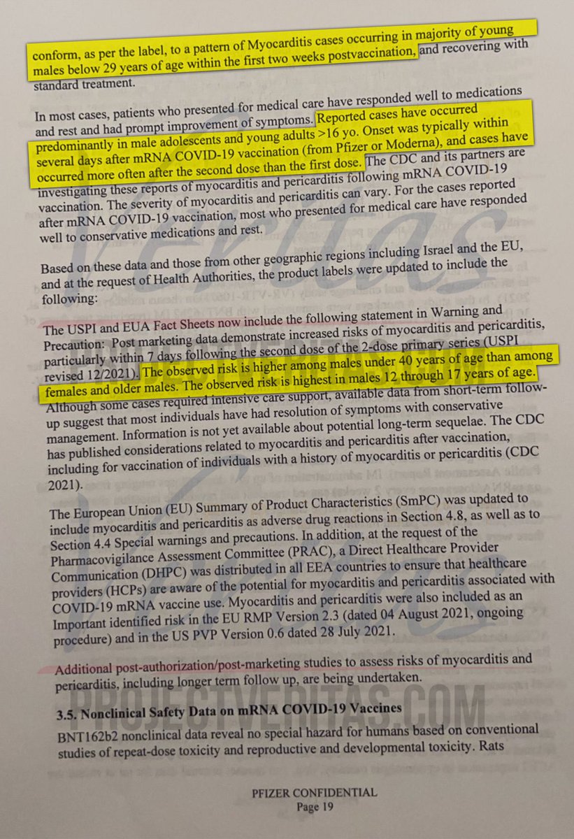 Eric Spracklen 🇺🇸 tweet media