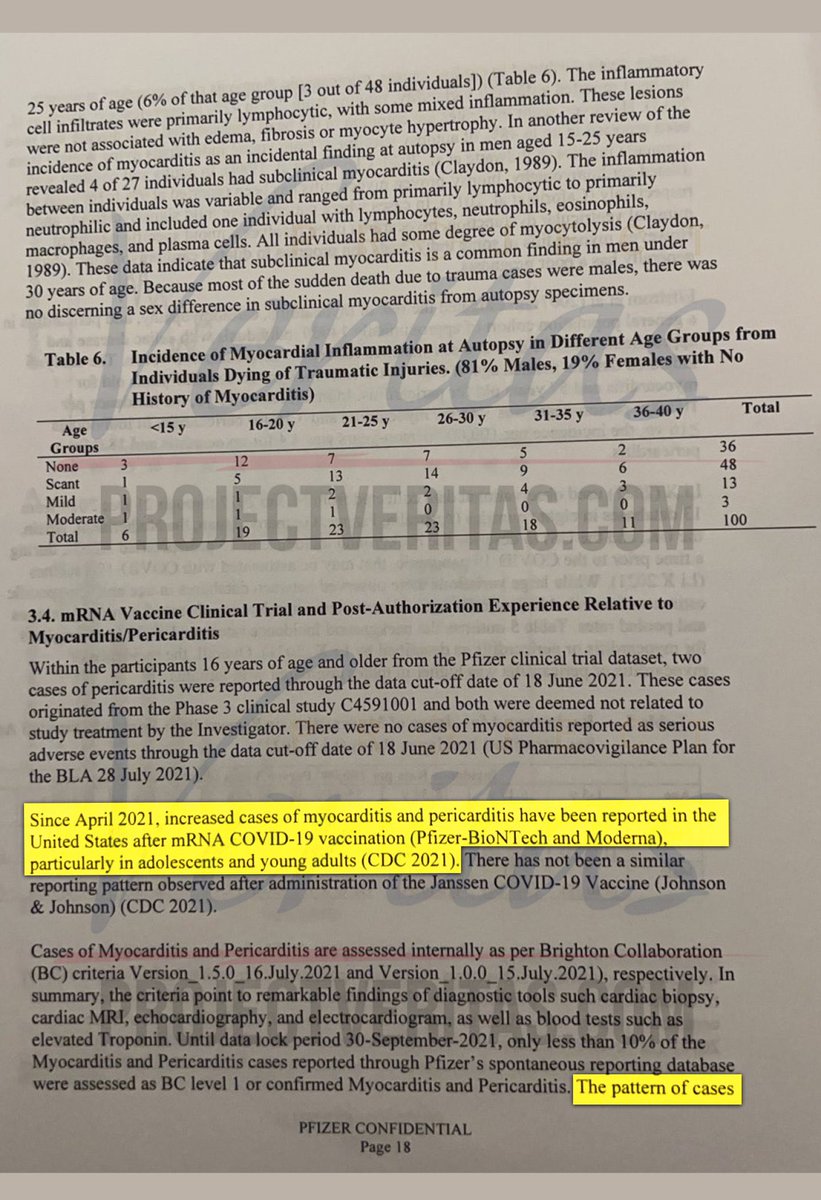 Eric Spracklen 🇺🇸 tweet media