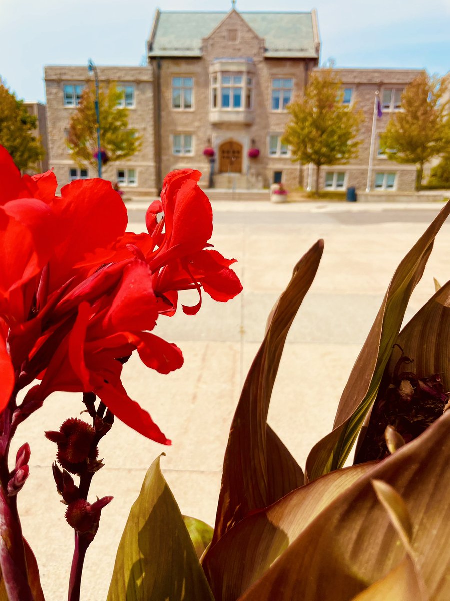 It’s a perfect day for walking meetings on @queensu beautiful campus #QueensUniversity