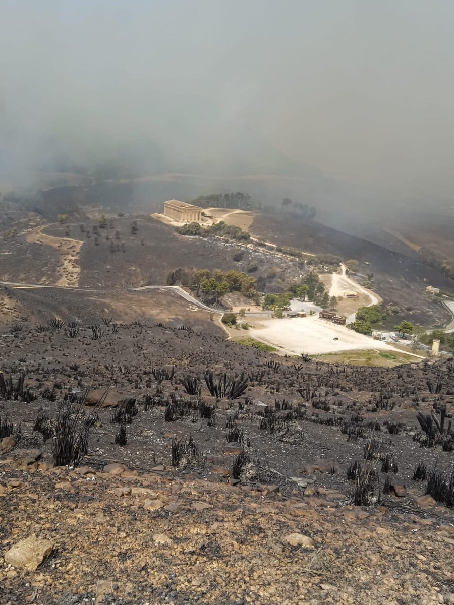 Me envían esta foto de hace unas horas tras el incendio. Parece ser que el templo no ha sufrido mayores daños, gracias a los dioses. La situación en Sicilia es muy alarmante... esperemos mejore pronto 🙏🏼