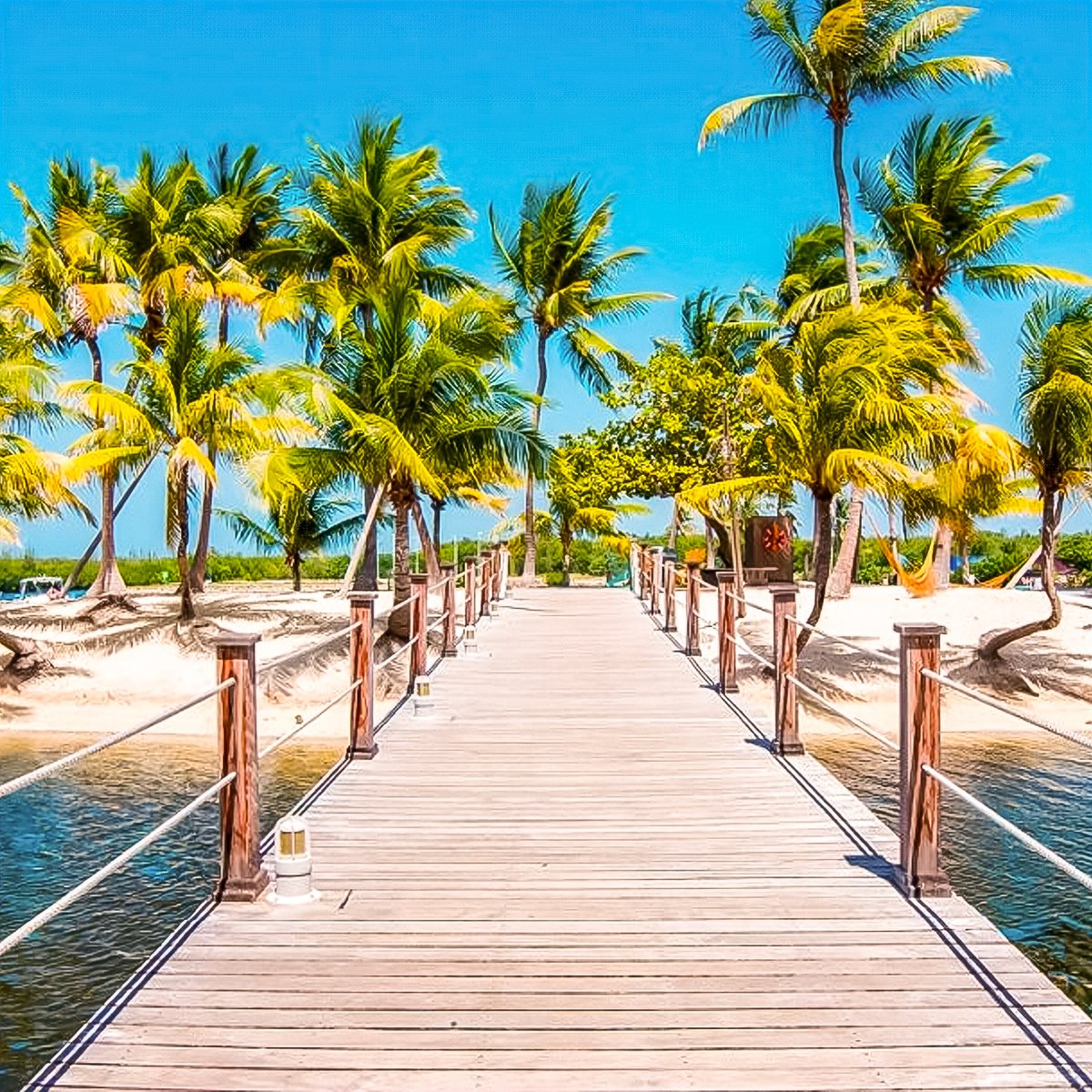 mcwevents's tweet photo. Consider luxury and nature for your incentive trip by visiting Grand Cayman. Home to Seven Mile beach, calm waters, and four luxurious resorts to choose from, it's no wonder Grand Cayman is a top incentive travel destination.
#EventPlanning #EventProduction #IncentiveTrips https://t.co/IEoKf4O5pk