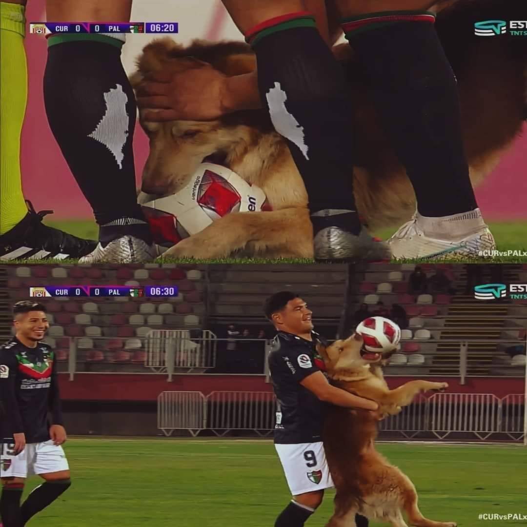 nocontextfooty's tweet photo. https://t.co/QsR1PSd8mk