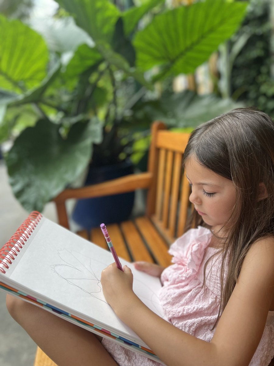 Stefanie Simmerman tweet media