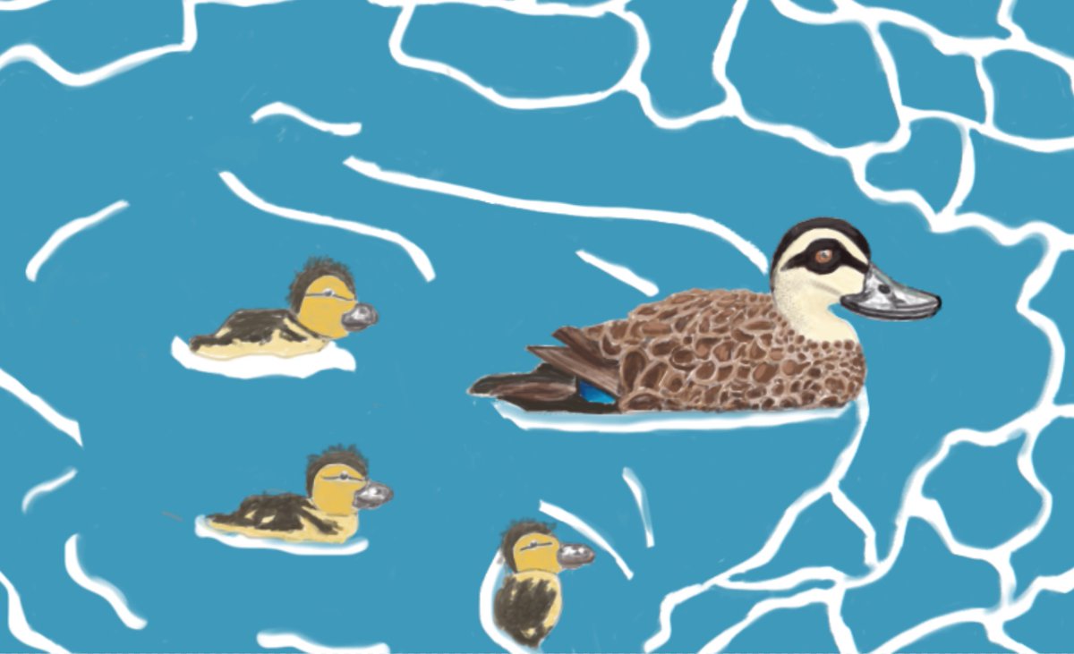 Francesca_Darcy's tweet photo. Mother Duck and her Ducklings artwork #Art #BabyDucks #DigitalArt #Ducks https://t.co/m2dYQqzjNQ