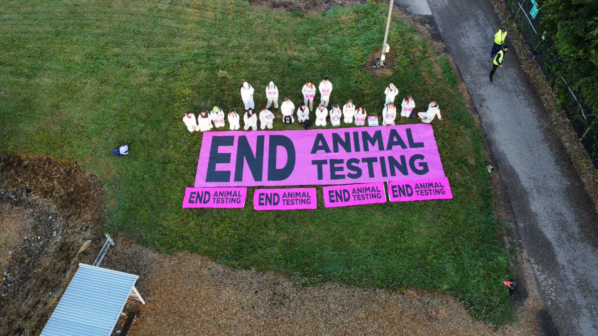 Animal Rising tweet media