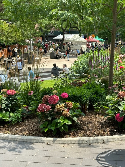 The view from the entrance to <a href="/ColumbiaMSPH/">ColumbiaPublicHealth</a> today is spectacular- the weekly Fort Washington Greenmarket is in full swing and people from all parts of <a href="/ColumbiaMed/">Columbia Medicine</a> are really enjoying being outside in Haven Plaza.
