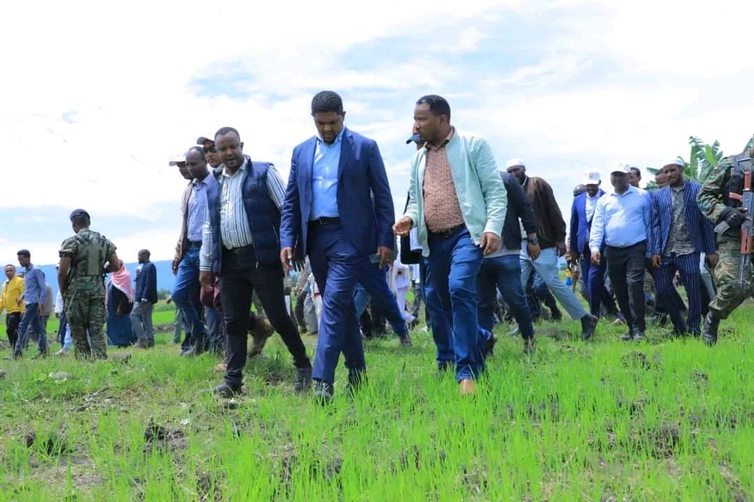 DenuAman's tweet photo. Akka Naannoo Oromiyaatti Declaration Ruuzii Godina Buno Bedele Aanaa Bedele Ganda Kolo Sirritii Bakka Kabajamoon Pirezidaantii Mootummaa Naannoo keenyaa Obbo Shimalis Abdiisaa Argamanitti Lafa hektara 6000 Ol irratti Declar Ta'eera. https://t.co/jFBPueZzEo