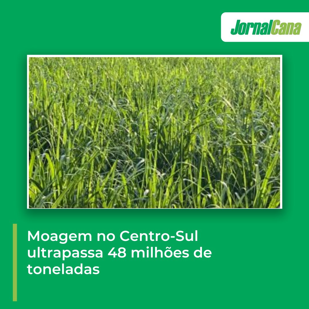 Moagem no Centro-Sul ultrapassa 48 milhões de toneladas

👉 mla.bs/89c39afb

#moagem #milhoes #toneladas #jornalcana #cananews #noticiadodia #canadeacucar #procana