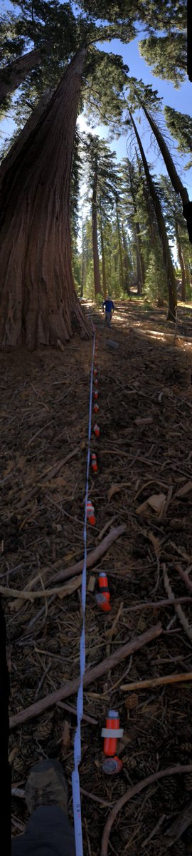 Steve Holbrook tweet media