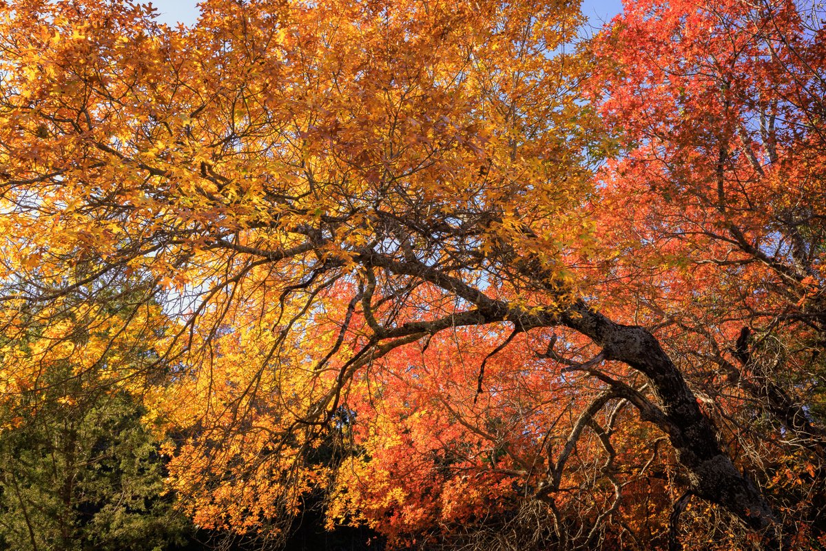 Michael Rung Photography tweet media