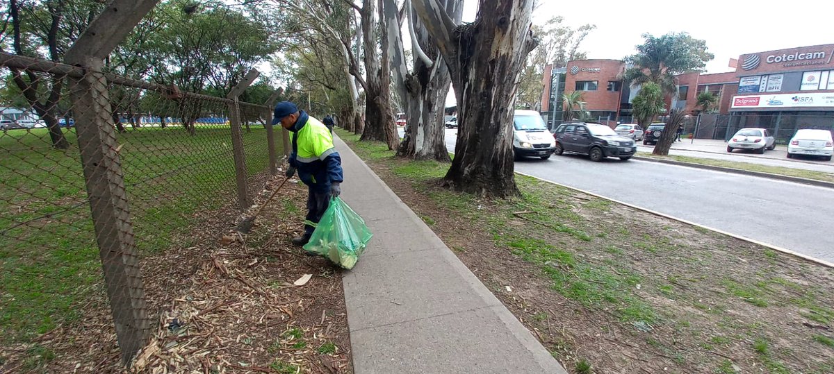 Delegación Ricardo Rojas tweet media