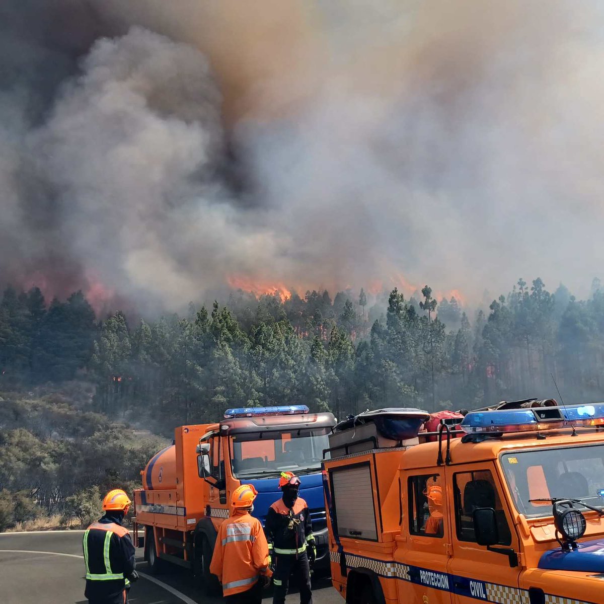 Medios movilizados:

👉 Brif de La Palma
👉 Eirif de La Gomera; en camino, la de El Hierro
👉 Consorcio de Emergencias de Gran Canaria
👉 Protecciones civiles
👉 Unidades Bravo
👉 Presa
👉 Patrullas de Medio Ambiente
👉 Agentes de Medio Ambiente
👉 Policía
👉 Más 100 personas