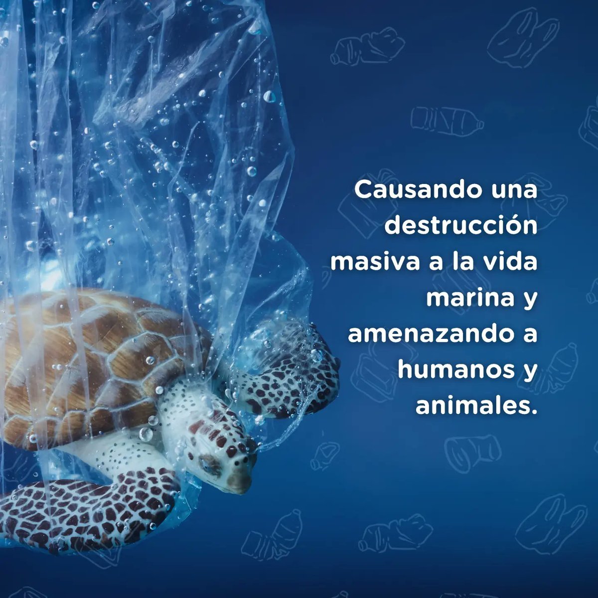 29 𝗺𝗶𝗹𝗹𝗼𝗻𝗲𝘀 𝗱𝗲 𝘁𝗼𝗻𝗲𝗹𝗮𝗱𝗮𝘀 𝗱𝗲 𝗽𝗹á𝘀𝘁𝗶𝗰𝗼 𝗽𝗮𝗿𝗮 𝗲𝗹 𝗮ñ𝗼 2040 😳 Esa es la proyección y puedes hacer parte del cambio! Registrate en este link 👉 cutt.ly/qwu3PX9p y accede a todos nuestros materiales gratuitos en el mes de Septiembre. #Plastico
