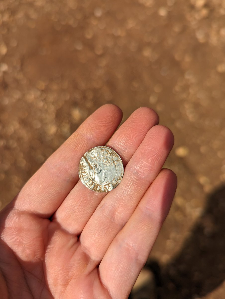 Harriet Coulton tweet media