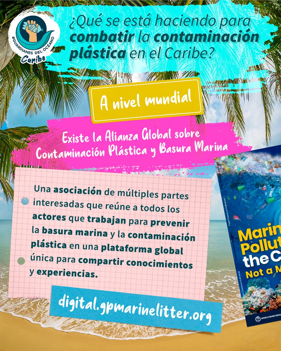 SUEMA_MX's tweet photo. 🌴¿Conoces otros proyectos o iniciativas similares en el Caribe? 🌴

#GuardianesDelOcéano #GuardianesDelOceano #Caribe #MarCaribe #Playa #Plastico #Repensar #Rechazar #Reducir #EstacionesDeAgua #Isla #CaribeCircular #Mahahual #SinContaminaciónPorPlasticos https://t.co/ZJvw8P4G8j