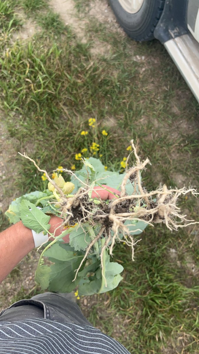 Okay I promise this isn’t a small truck this time….